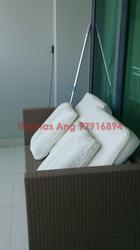 Soleil @ Sinaran (D11), Condominium #88391342